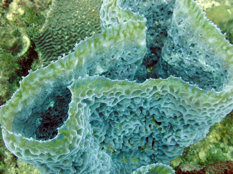 Curacao 04-12 139.jpg
